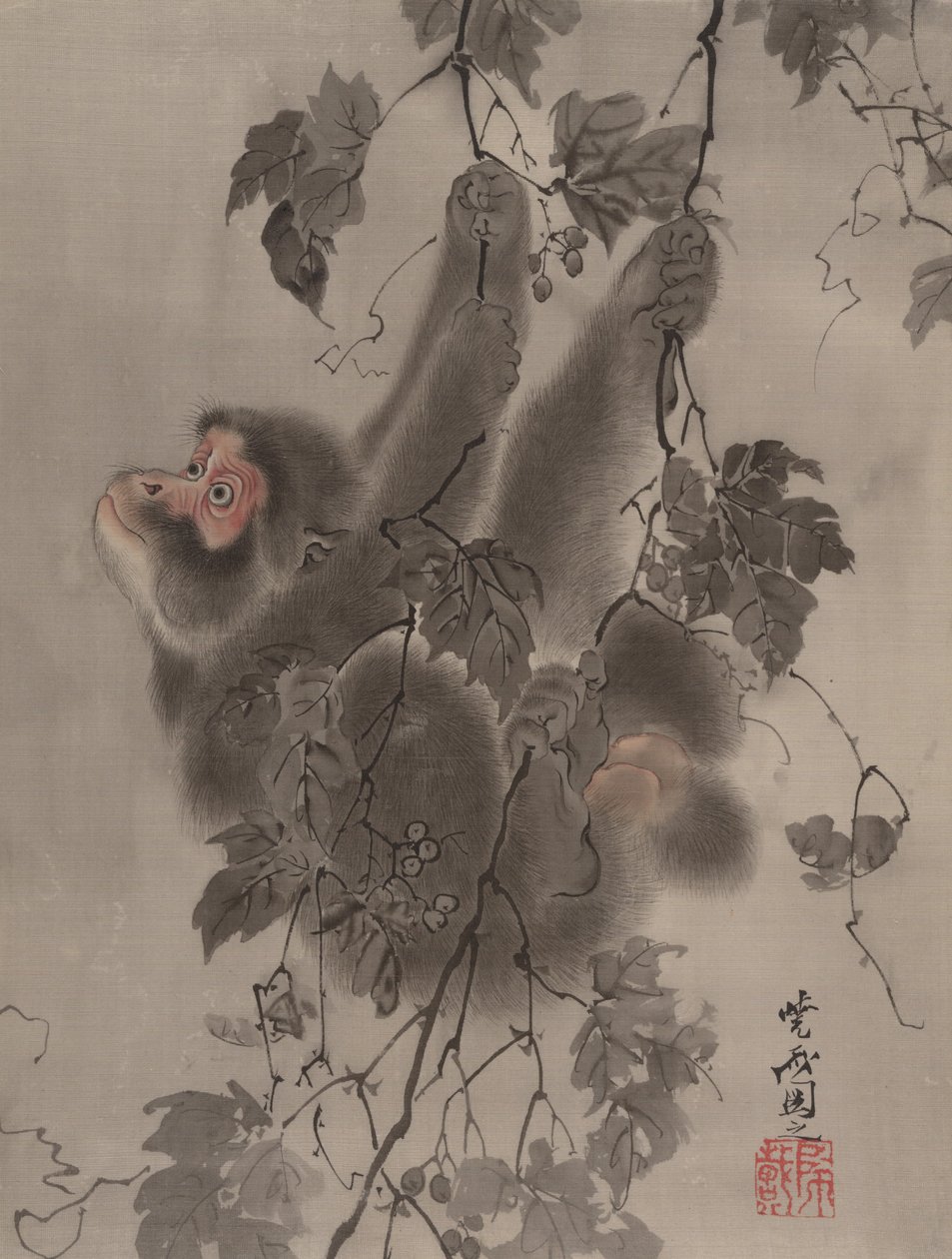 Affe hängt an Weinreben von Kawanabe Kyosai