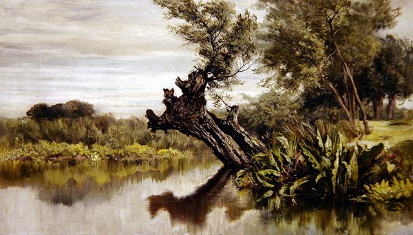 Der Weidenbaum von Keeley Halswelle