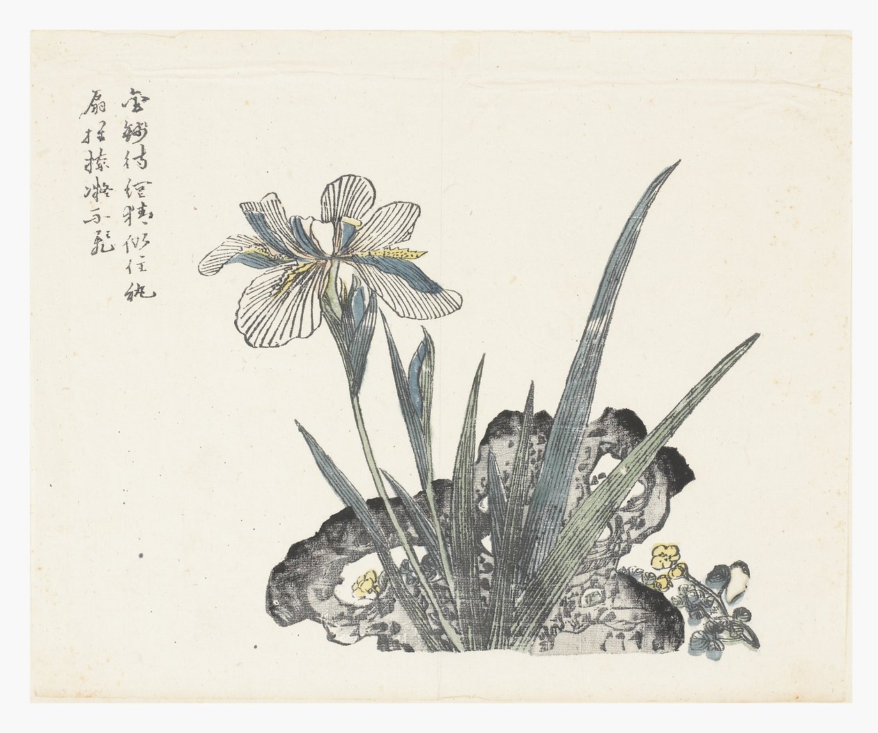 Mustard Seed Garden von Ki Chang