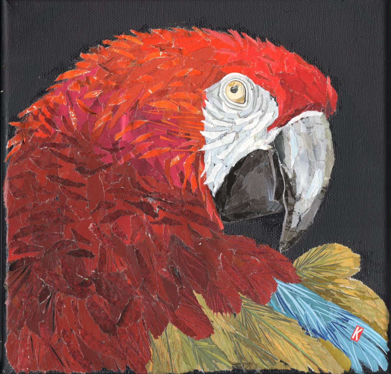 Roter Ara-Papagei von Kirstie Adamson