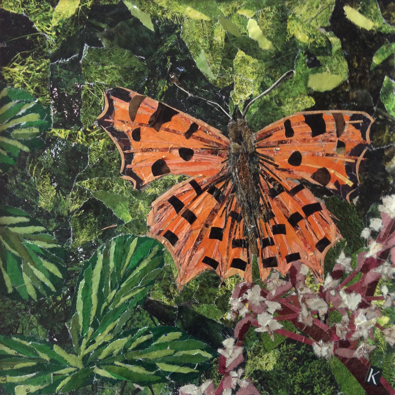 Flattern - Komma-Schmetterling auf Japonica von Kirstie Adamson