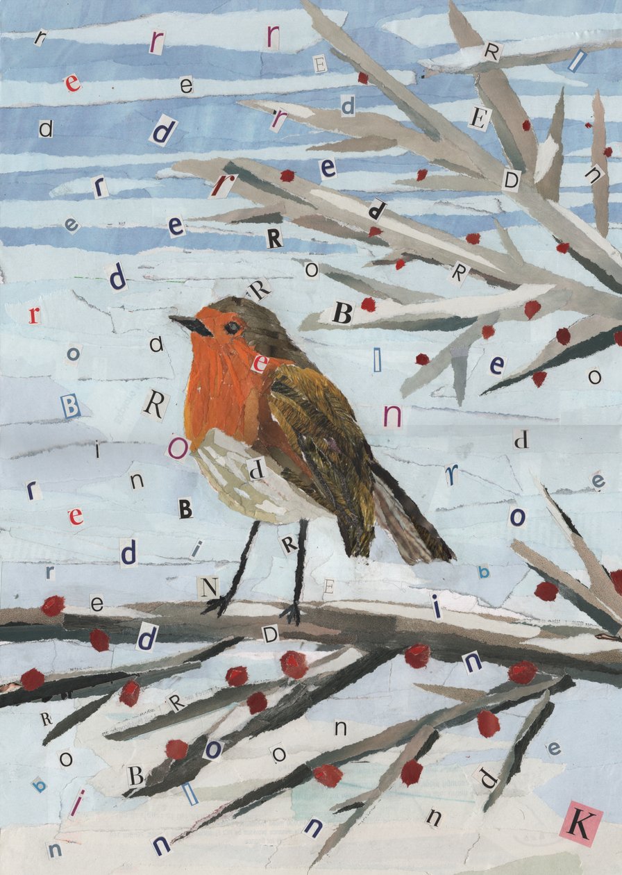 Roter, roter Robin von Kirstie Adamson