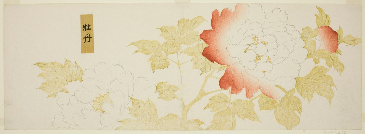 Pfingstrosen von Kitagawa Utamaro