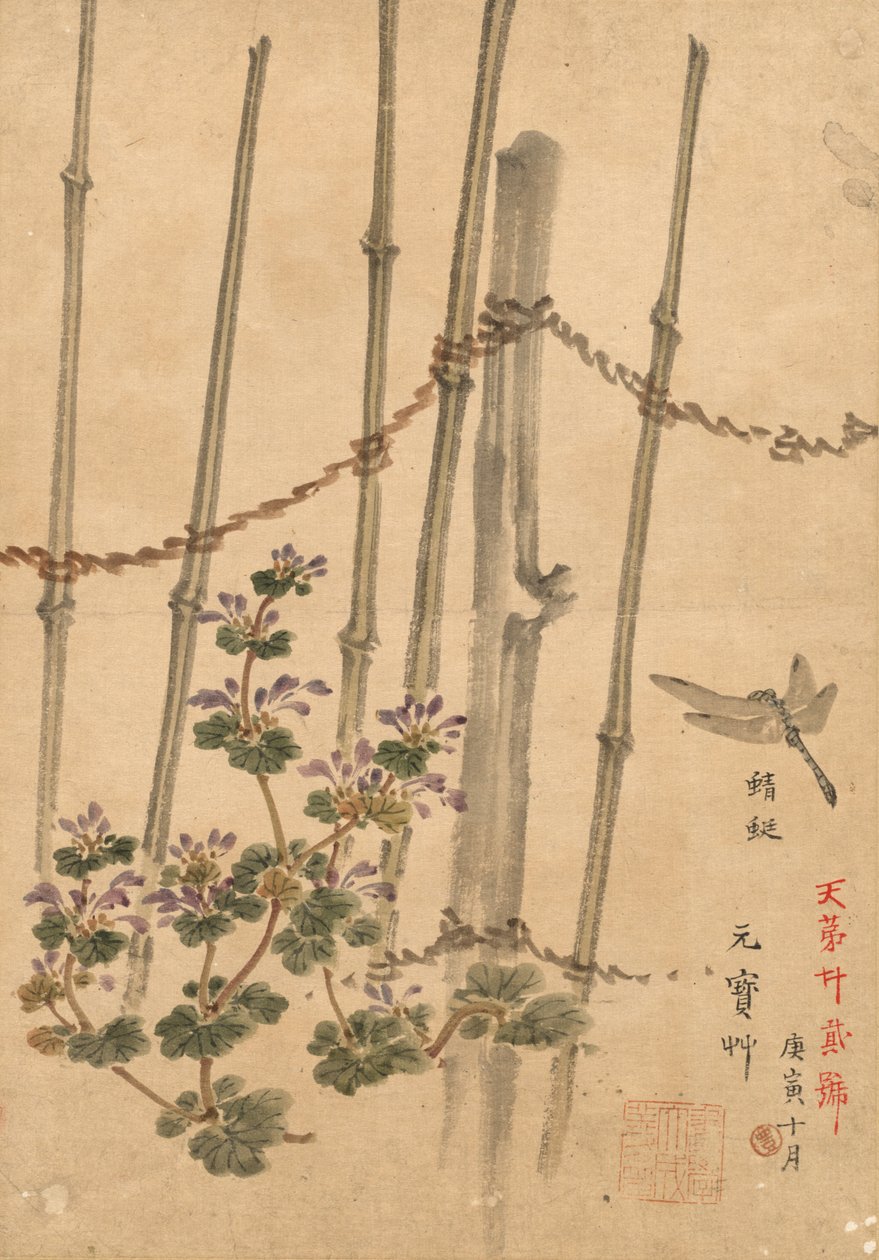 Bambuszaun und Chrysanthemen von Kono Bairei