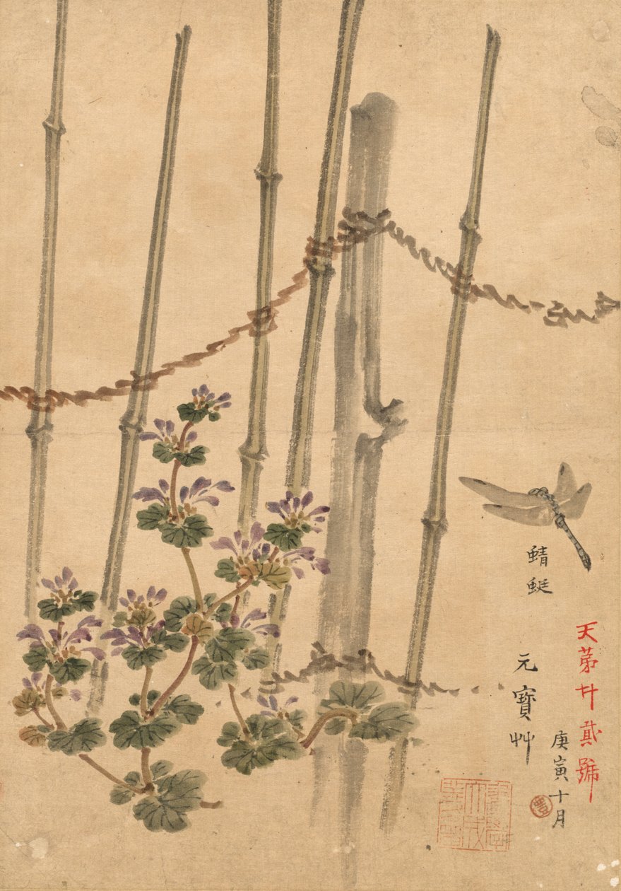 Bambuszaun und Chrysanthemen (ca. 1890) von Kono Bairei