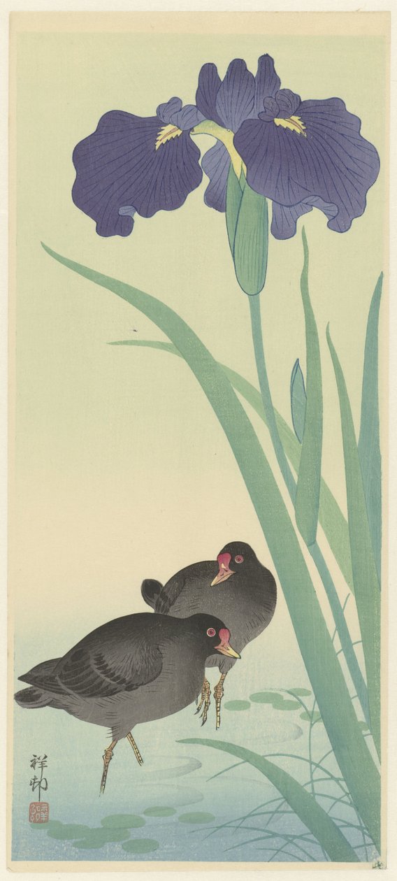 Teichhühner und Schwertlilien von Ohara Koson