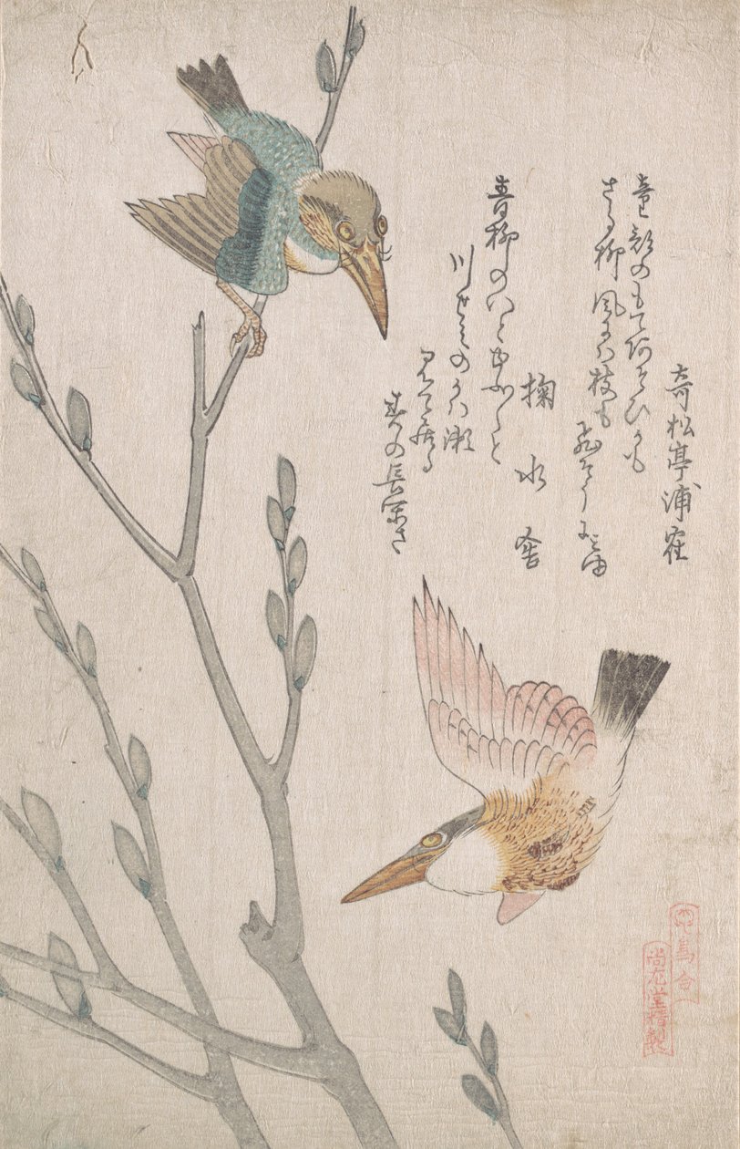 Eisvögel und Weidenkätzchen, 19. Jahrhundert von Kubo Shunman
