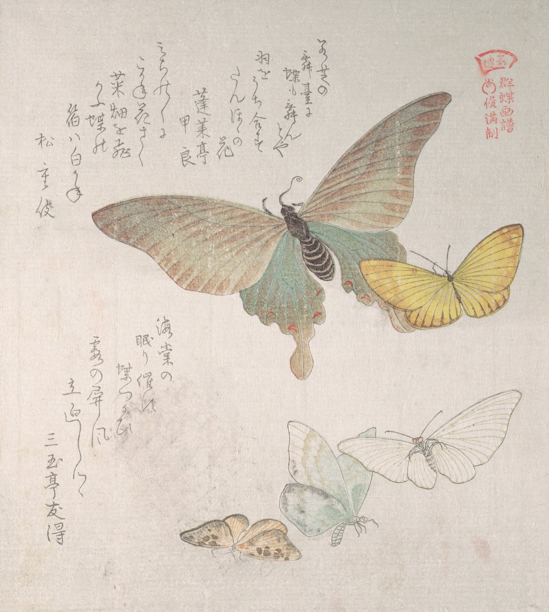 Verschiedene Motten und Schmetterlinge, 19. Jahrhundert von Kubo Shunman