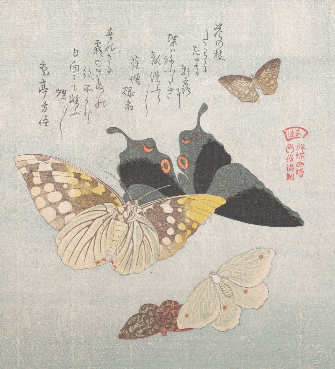 Verschiedene Motten und Schmetterlinge, 19. Jahrhundert von Kubo Shunman