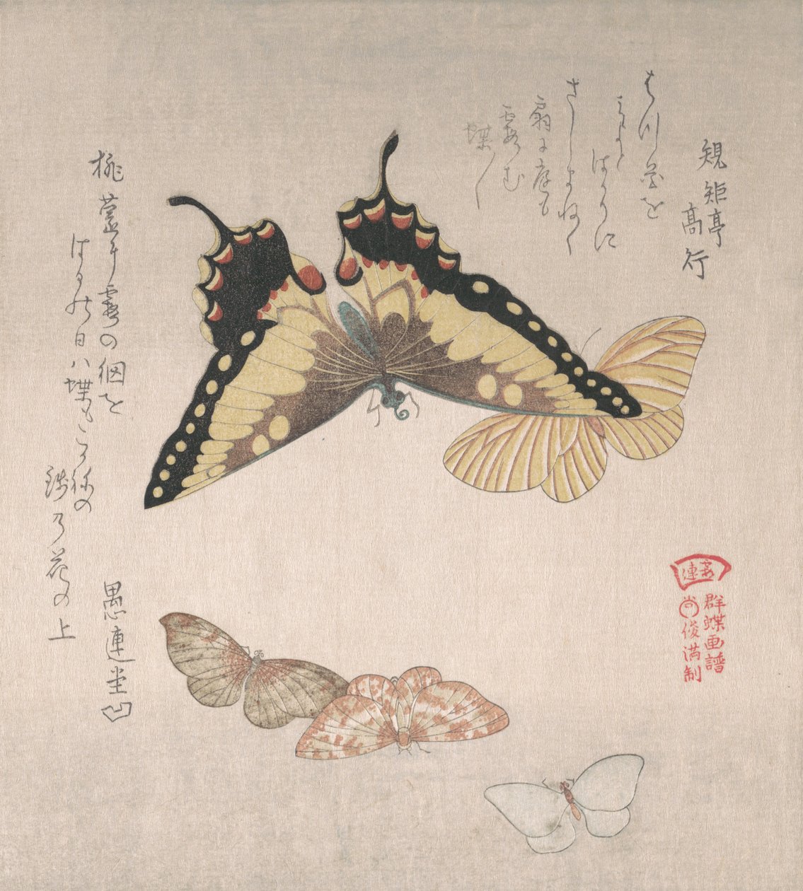 Verschiedene Motten und Schmetterlinge von Kubo Shunman