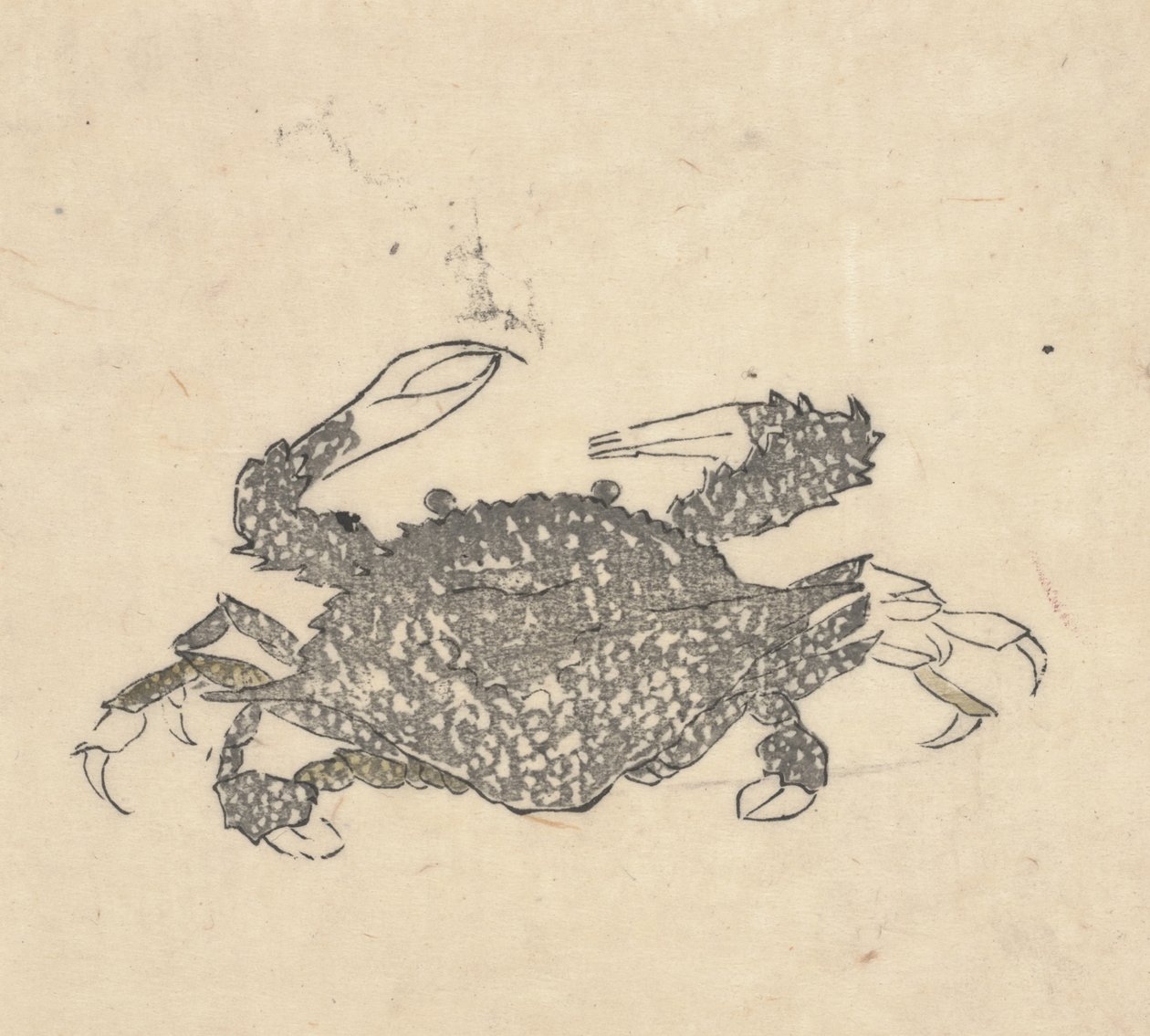 Krabbe (Holzschnitt) von Kuwagata Keisai