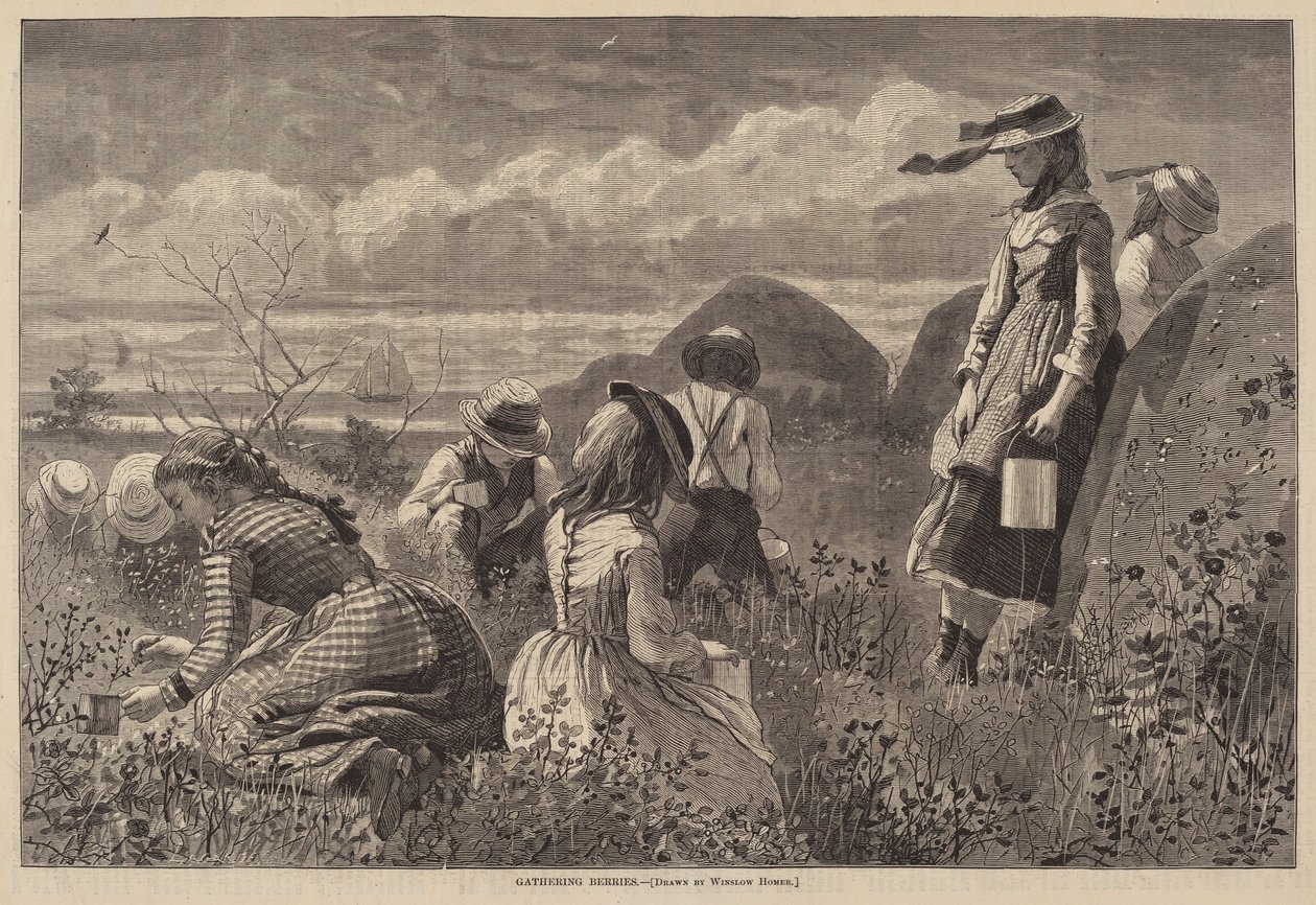 Beeren sammeln von Lagarde after Winslow Homer