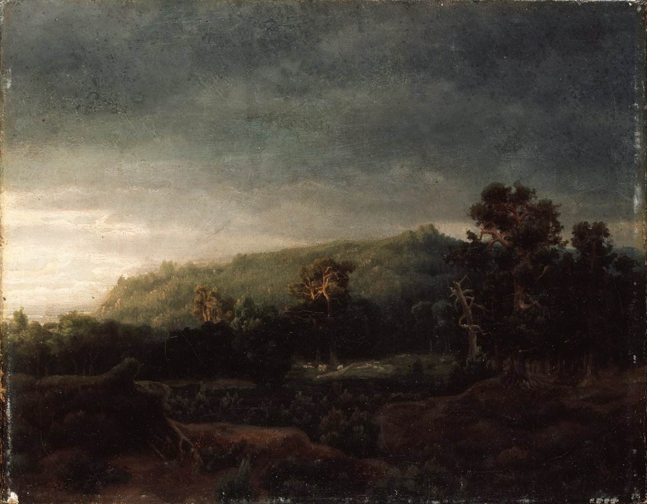 Ein Wald von Lars Hertervig
