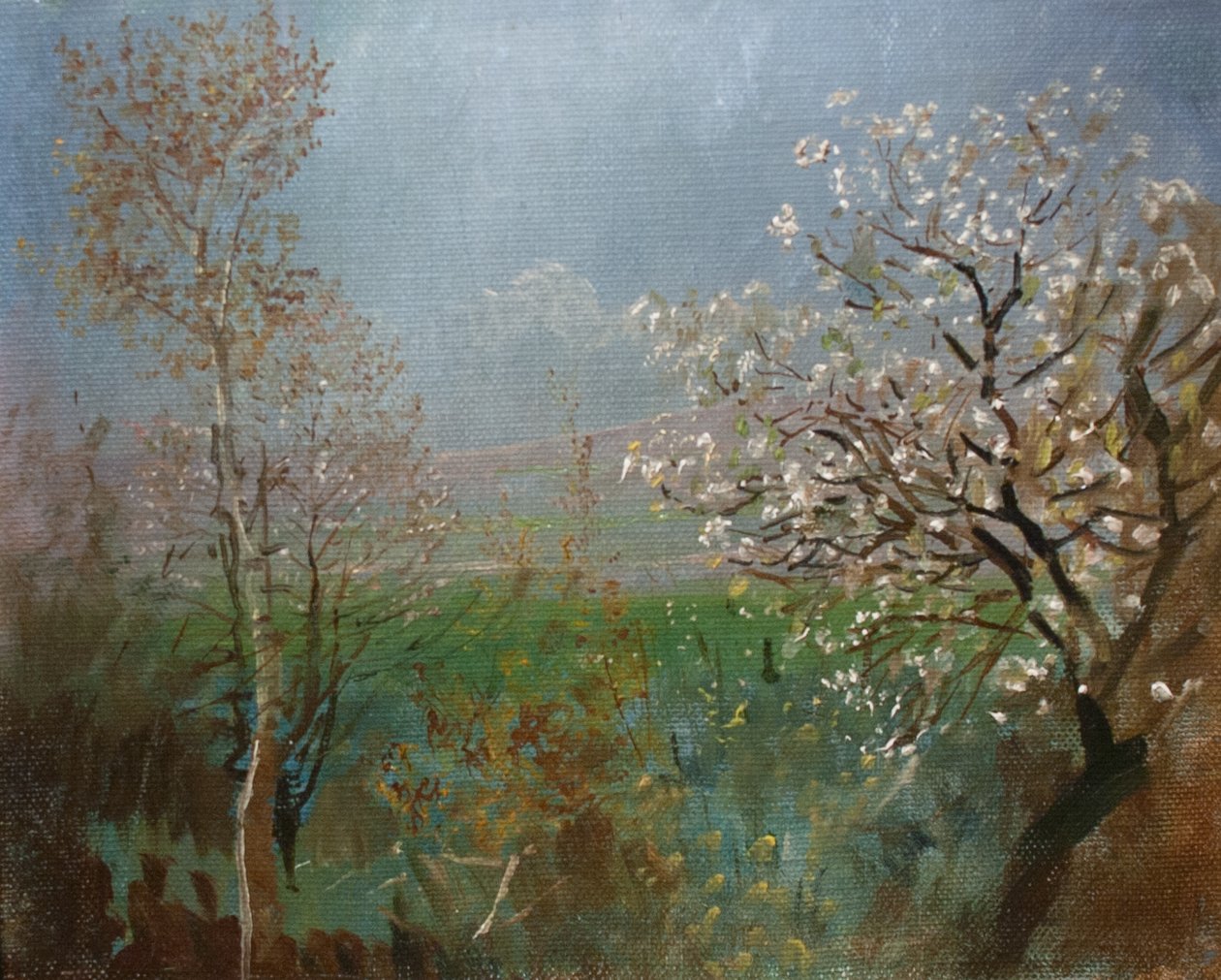 Blühender Baum von Laszlo Mednyanszky
