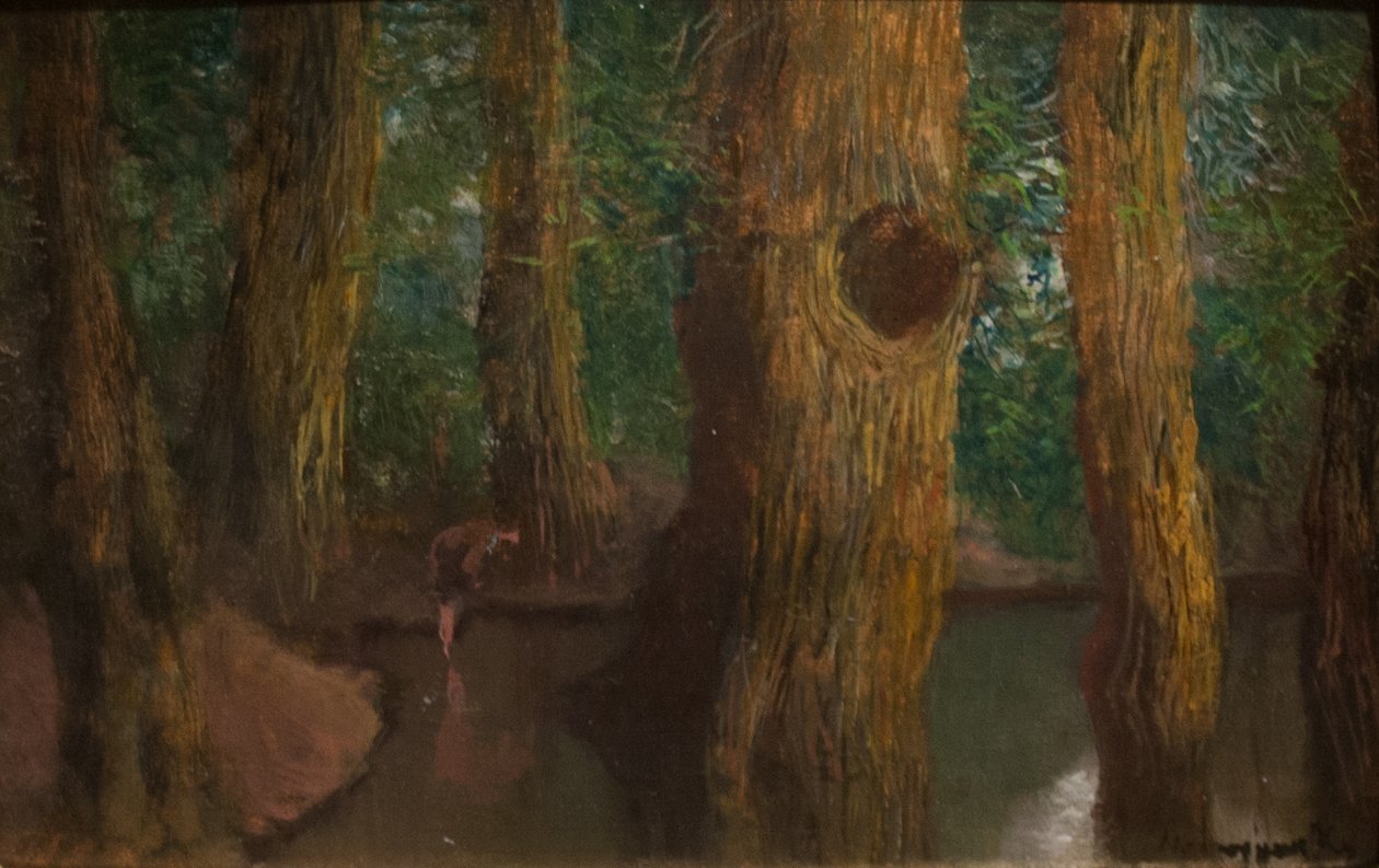 Im Wald von Laszlo Mednyanszky