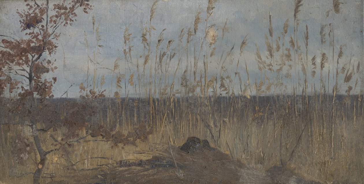 Landschaftsstudie in der Nähe eines Sumpfes von Laszlo Mednyanszky