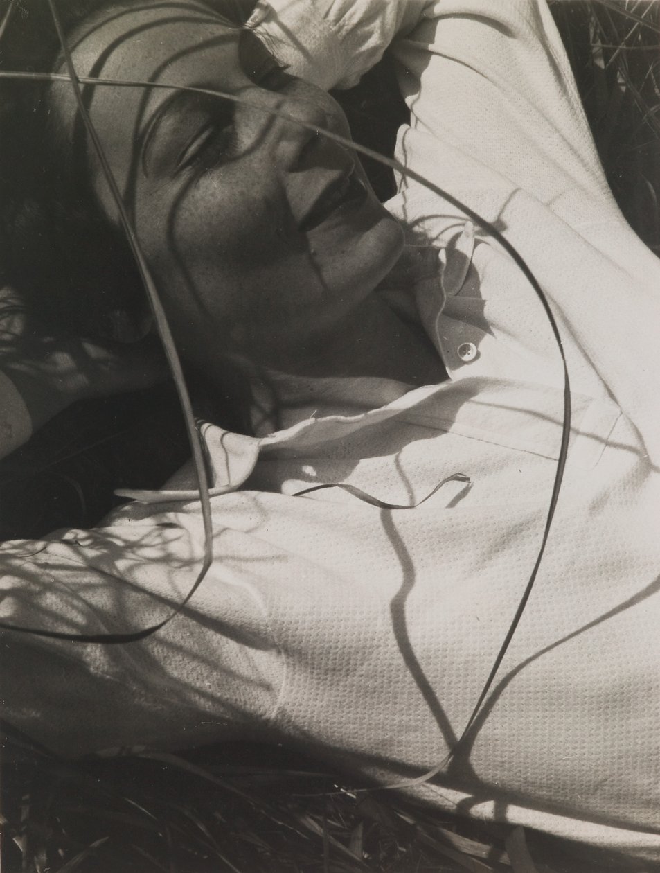 Porträt von Ellen Frank von Laszlo Moholy Nagy