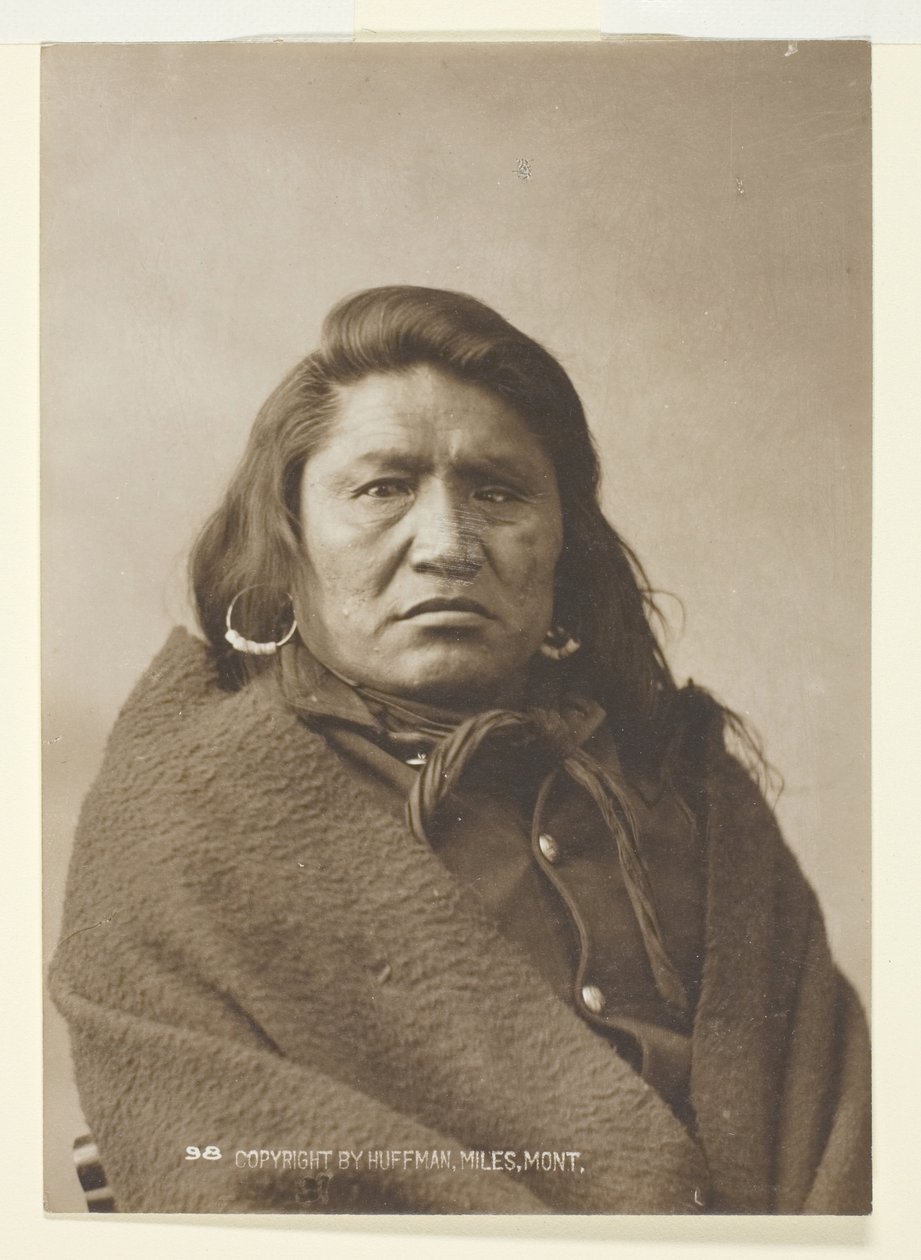 Tauber Stier von Laton Alton Huffman