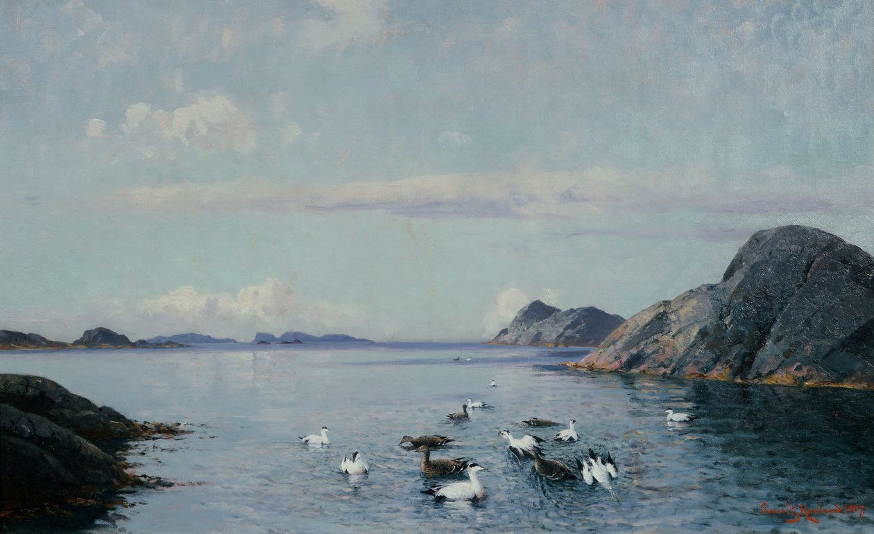 Südküste mit Seevögeln von Lauritz Haaland