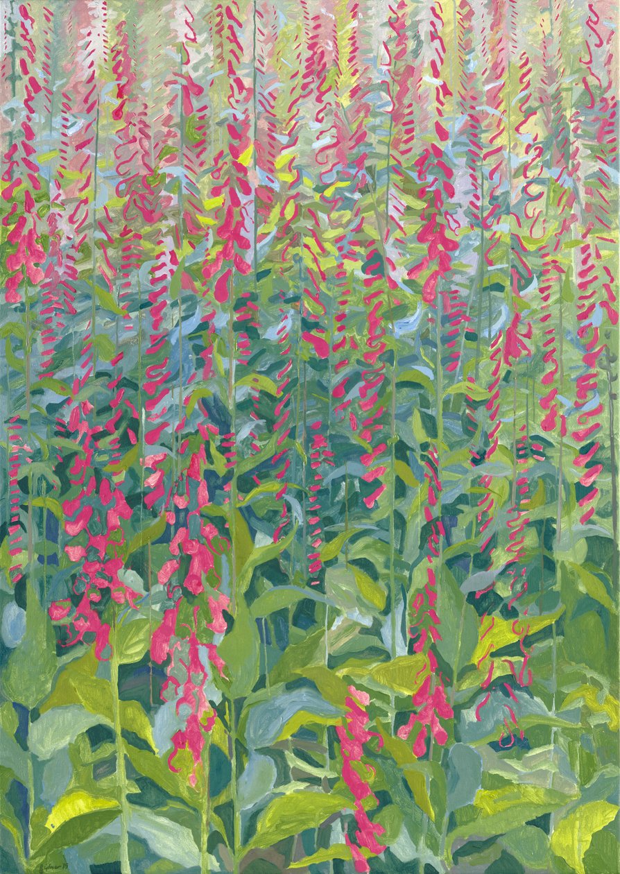 Fingerhüte, 2014 von Leigh Glover