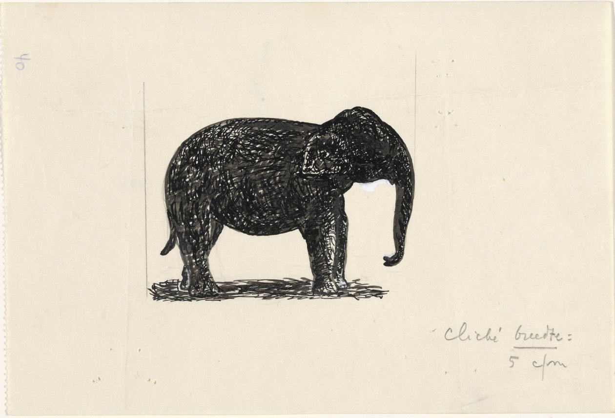 Elefant von Leo Gestel