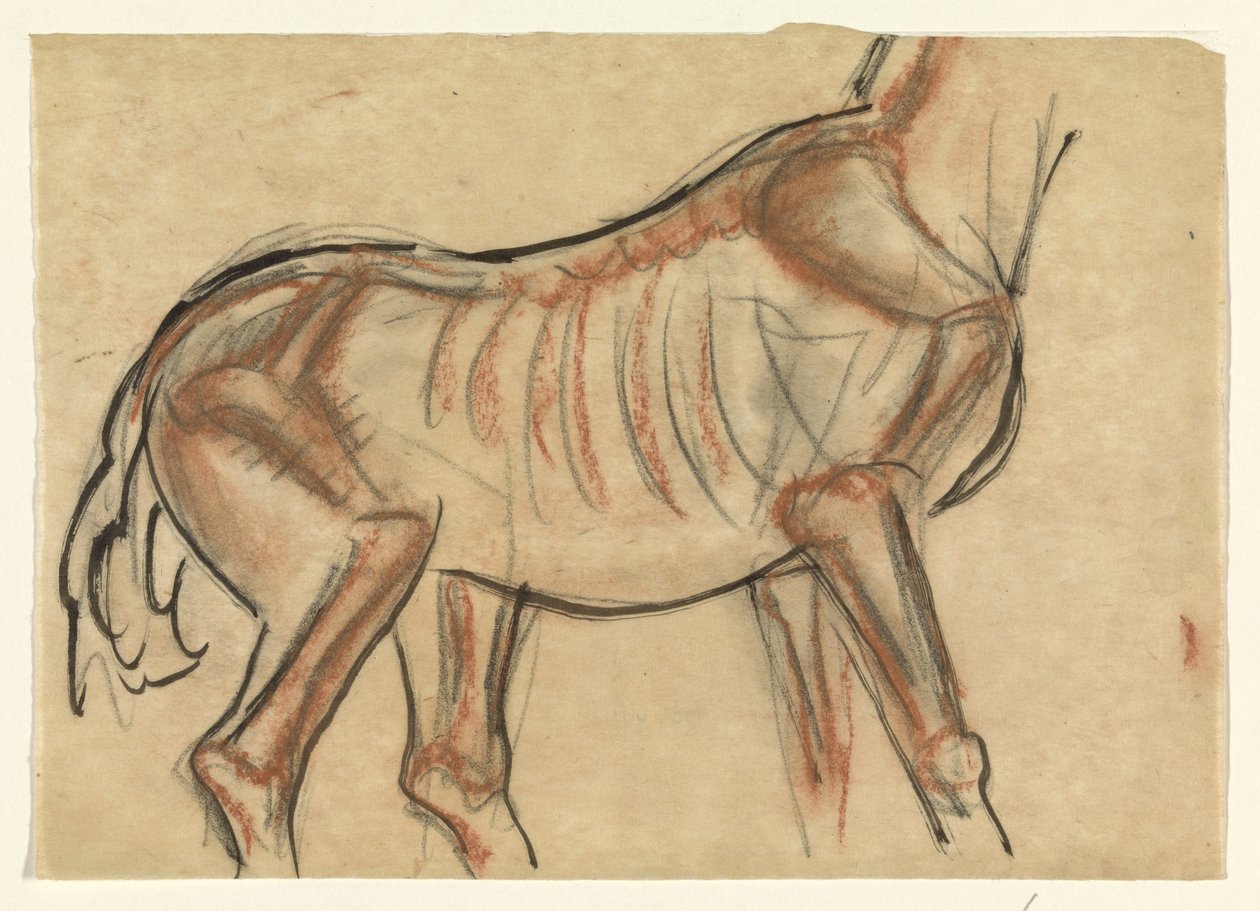 Skelett eines Pferdes von Leo Gestel