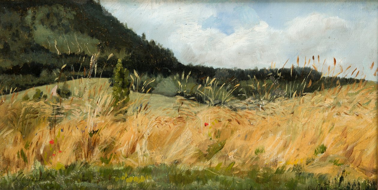 Kornfeld von Leon Wyczolkowski