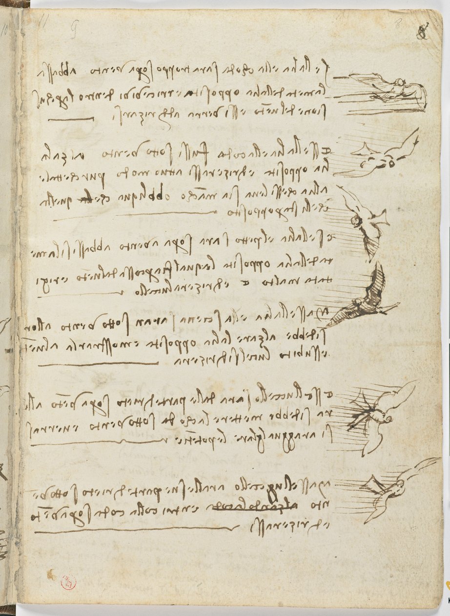 Vogelflugkodex, ca. 1505-06, Papiermanuskript, cc. 18, Blatt 8 recto von Leonardo da Vinci