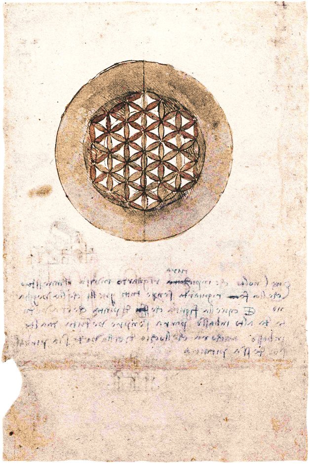 Codex Atlanticus folio 309v von Leonardo da Vinci