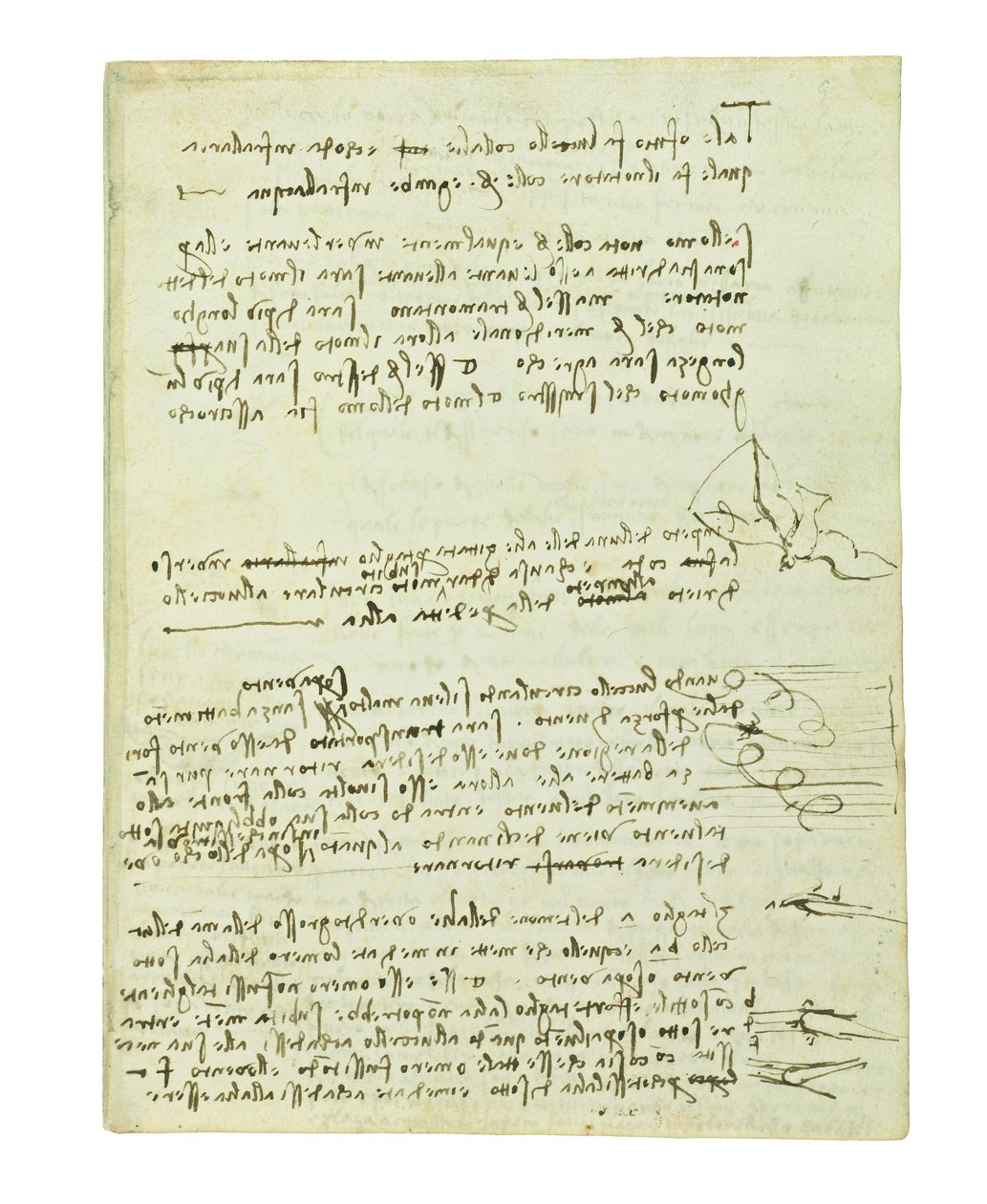 Codex über den Vogelflug, Folio 10 recto von Leonardo da Vinci