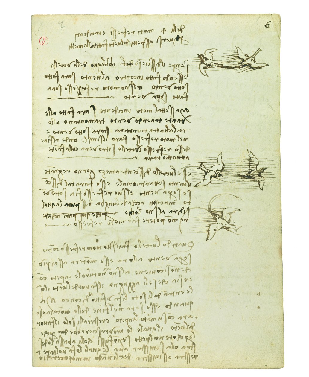 Codex über den Vogelflug, Folio 6 recto von Leonardo da Vinci