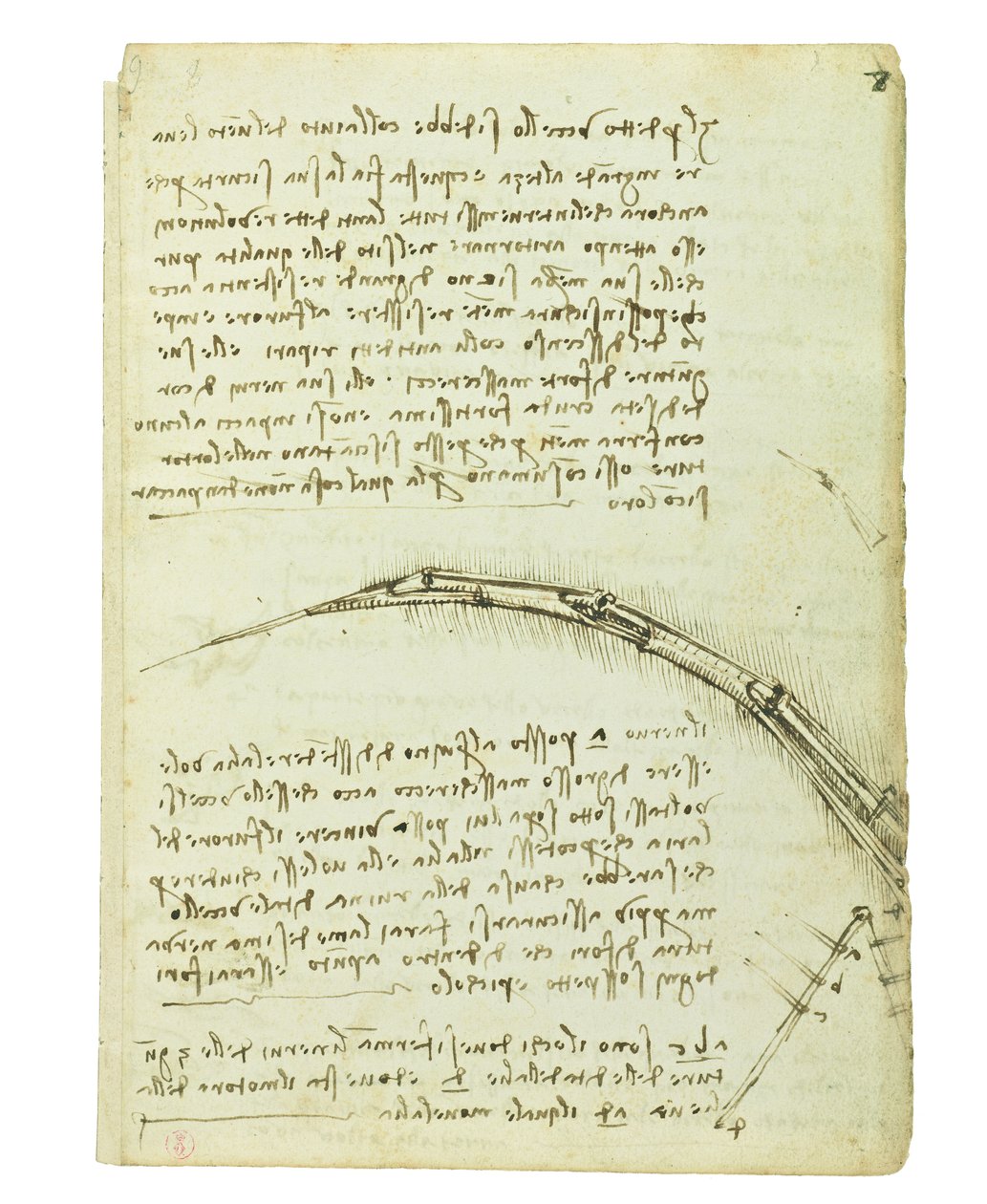 Codex über den Vogelflug, Folio 7 recto von Leonardo da Vinci