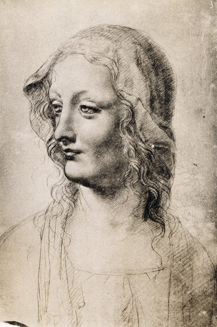 Kopf einer jungen Frau von Leonardo da Vinci