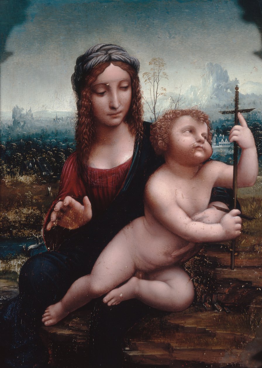 Die Madonna mit der Spindel von Leonardo da Vinci