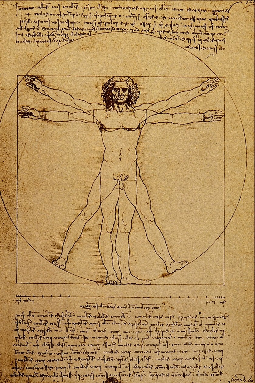 Studie des menschlichen Körpers von Leonardo da Vinci