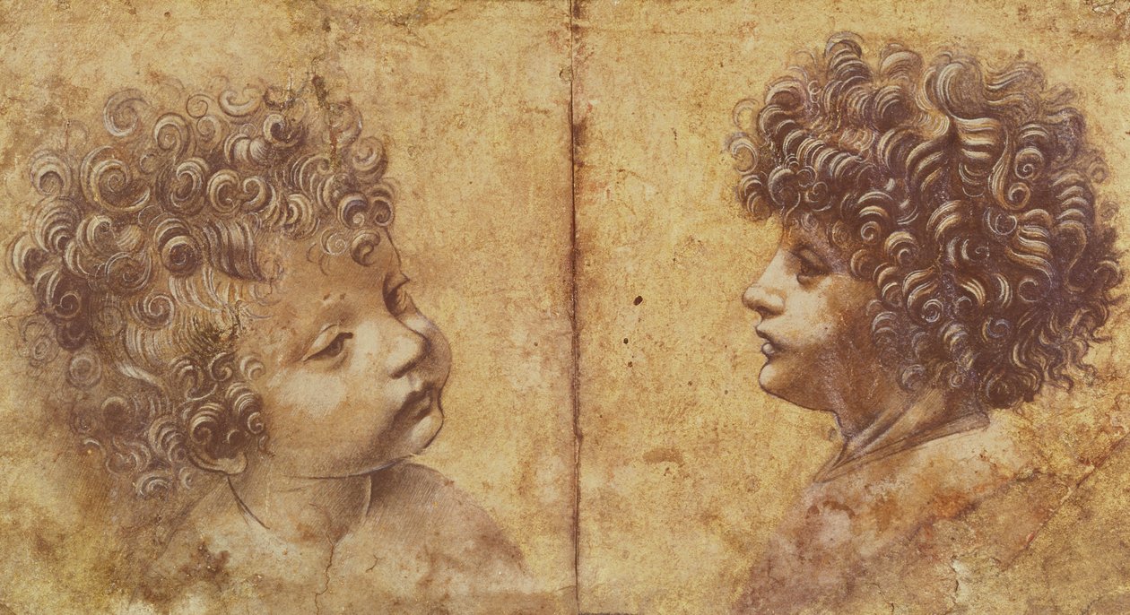 Studie eines Kinderkopfes von Leonardo da Vinci