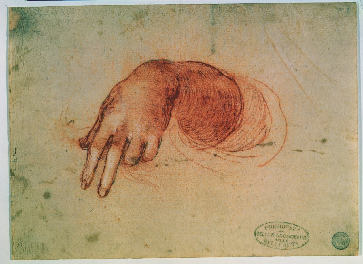Studie einer Hand von Leonardo da Vinci