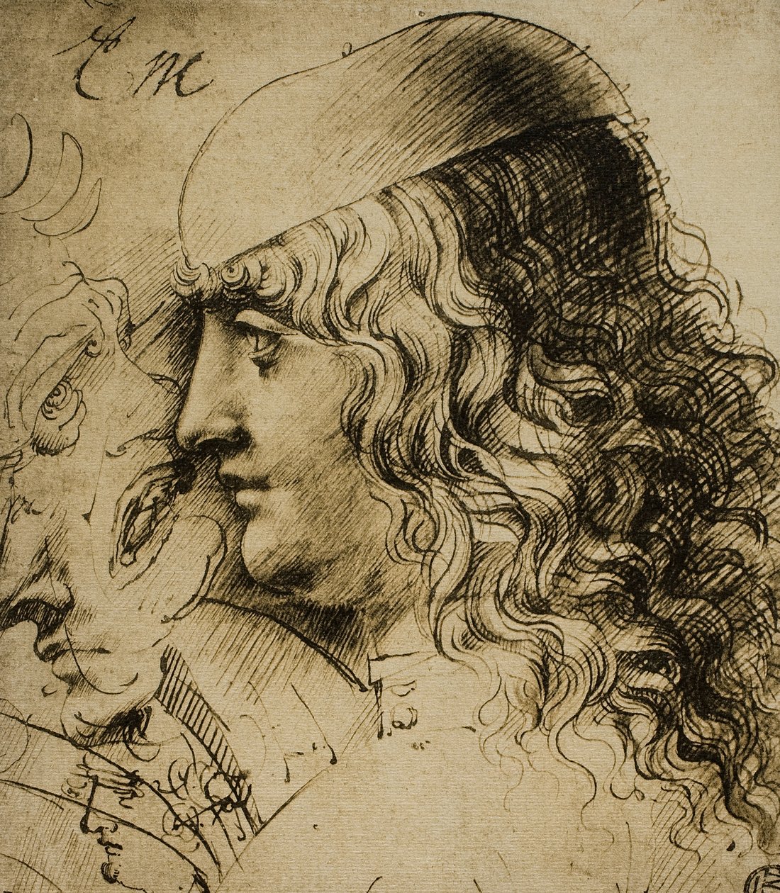 Studie eines männlichen Kopfes von Leonardo da Vinci