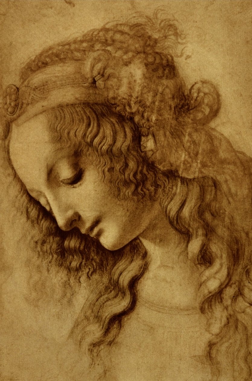 Frau im Profil von Leonardo da Vinci