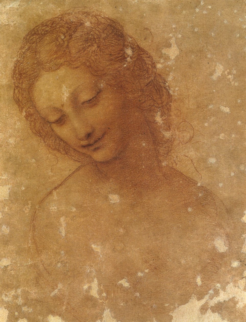 Testa di Leda, Castello Sforzesco von Leonardo da Vinci