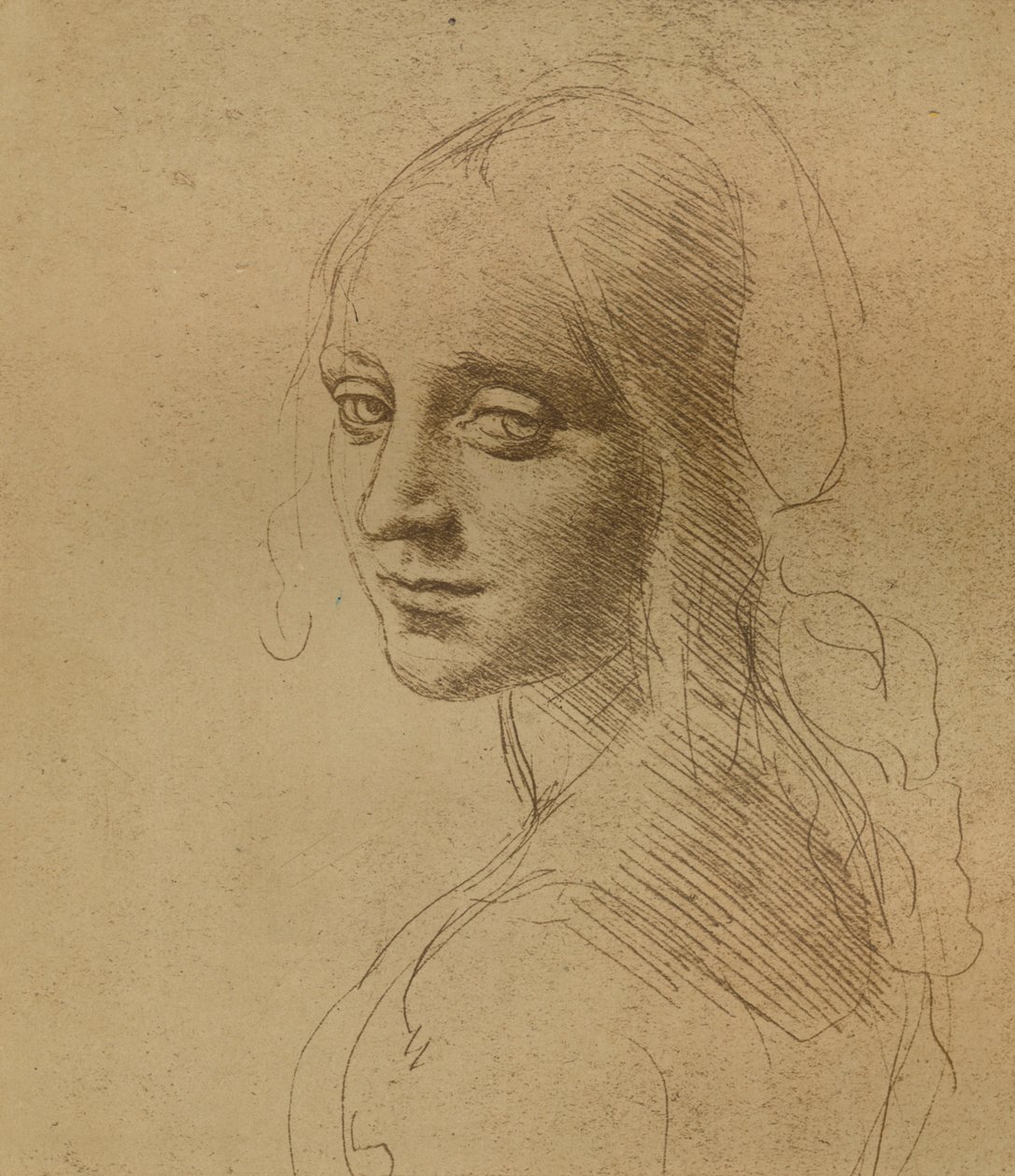 Ein weiblicher Kopf, ca. 1472-1519 von Leonardo da Vinci