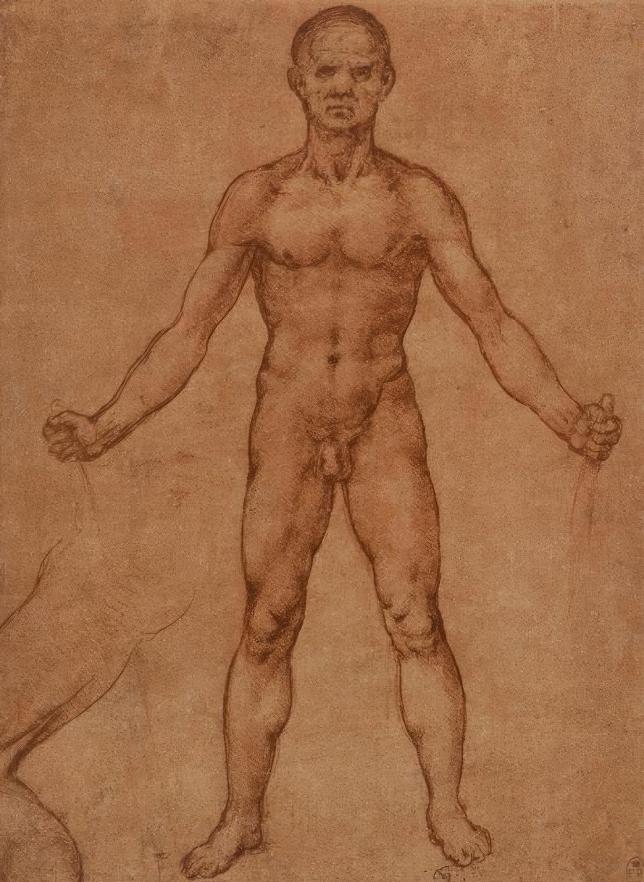Aktstudie eines stehenden Mannes, frontal von Leonardo da Vinci