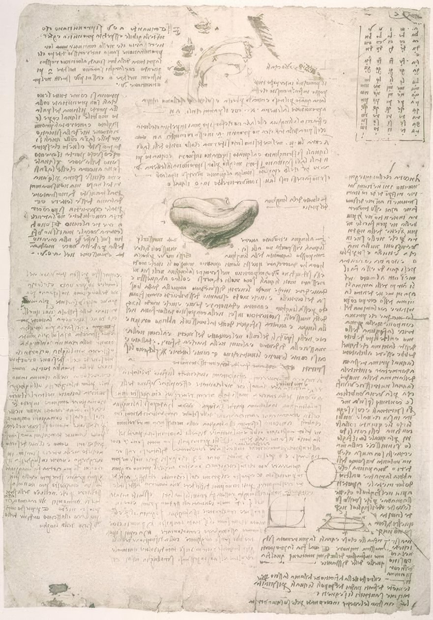 Anatomiestudien von Leonardo da Vinci