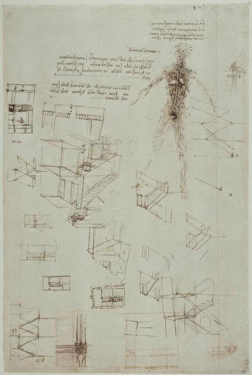 Anatomiestudien von Leonardo da Vinci