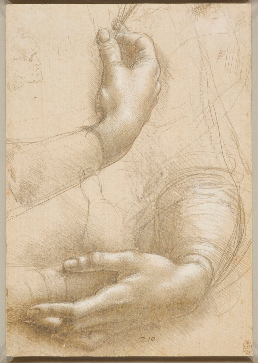 Arme und weibliche Hände, ca. 1480 von Leonardo da Vinci
