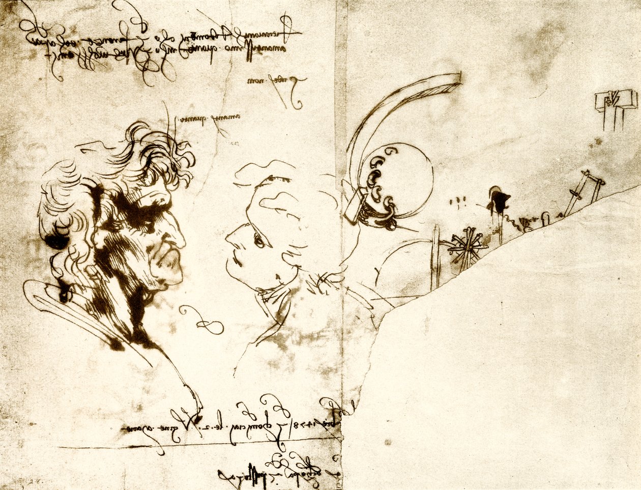 Entwürfe von zwei Männerköpfen von Leonardo da Vinci