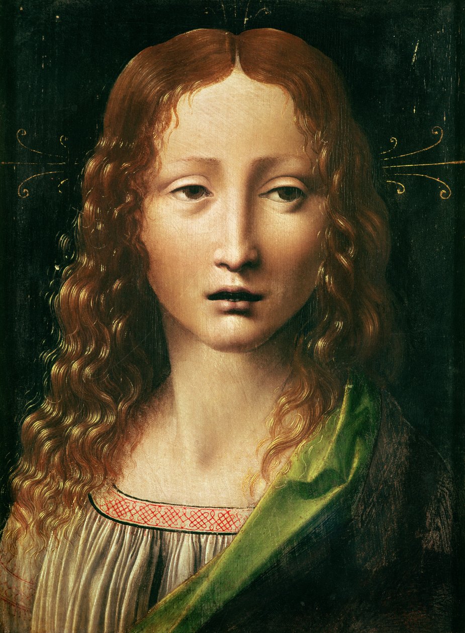 Kopf des Erlösers von Leonardo da Vinci