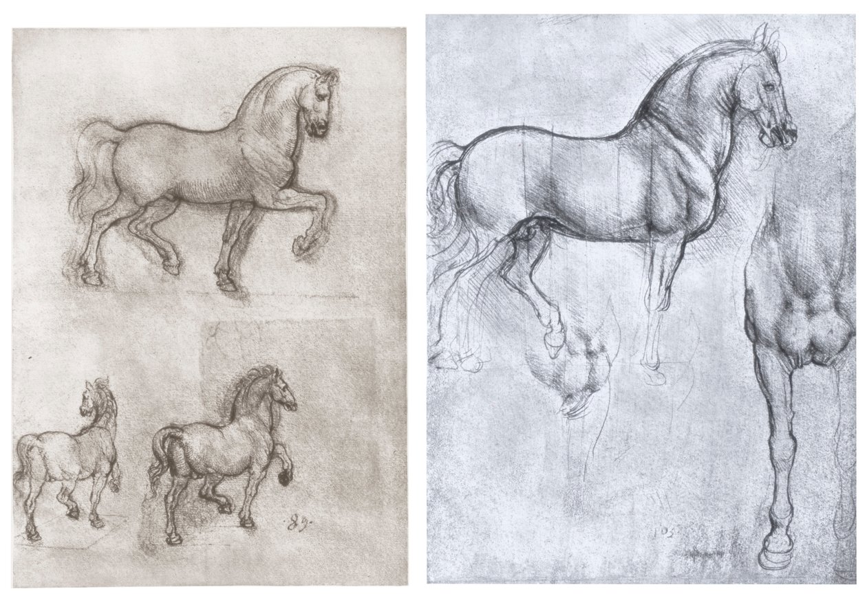Pferde, ca. 1490-1510 von Leonardo da Vinci