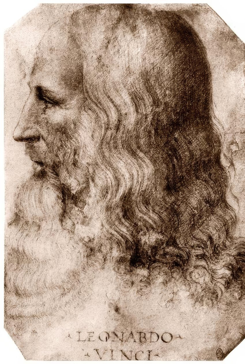 Leonardo da Vinci von Leonardo da Vinci