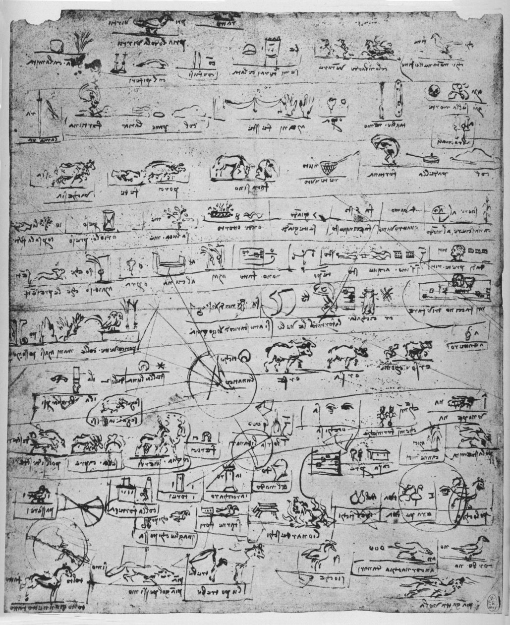 Blatt mit Piktogrammen, um 1480 1945 von Leonardo da Vinci